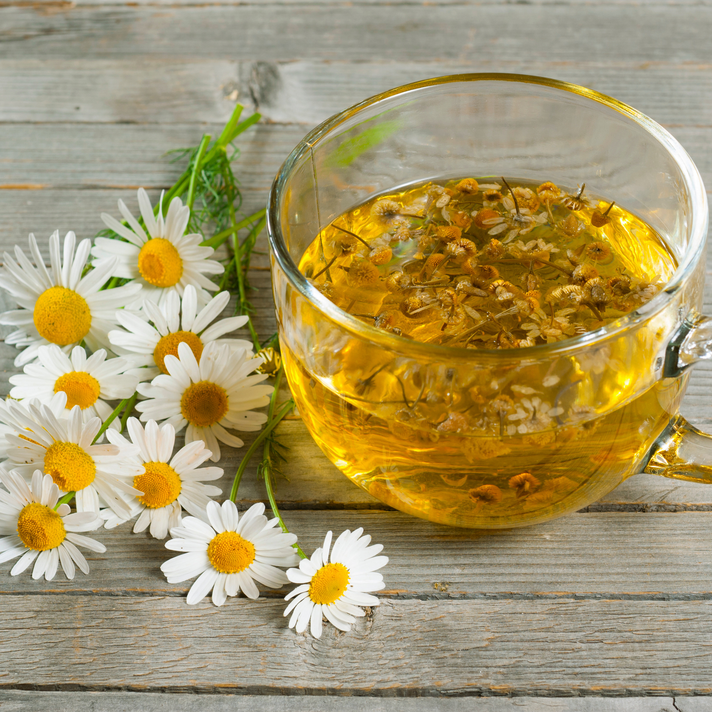 Infusión de manzanilla