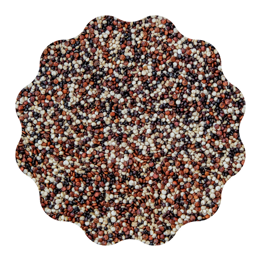 Quinoa tricolor 5kg