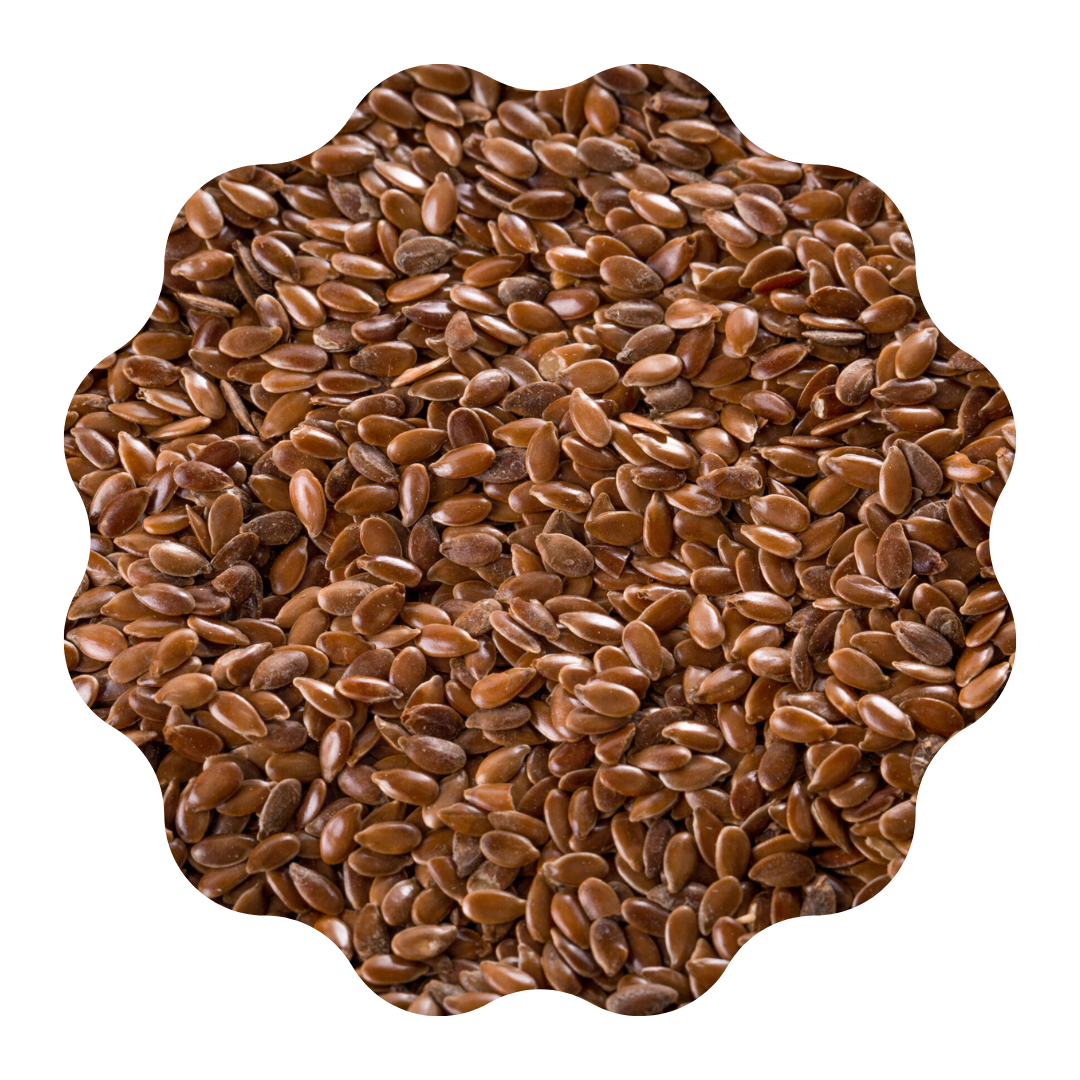 Semillas de linaza 5kg