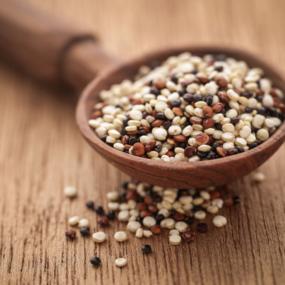 Quinoa tricolor