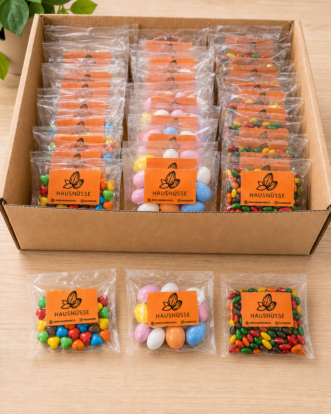 Snack Box Colores