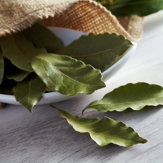 Infusión Laurel