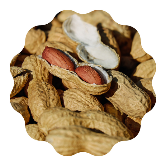 Maní con cascara