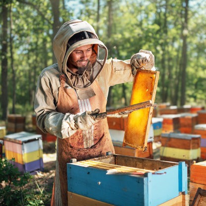 Miel Pura De Abeja Multifloral Hausnüsse 1kg