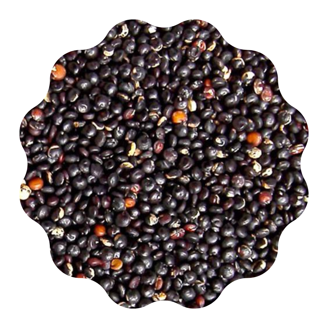 Quinoa negra